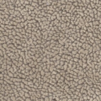 Champagne Outlast Fabric