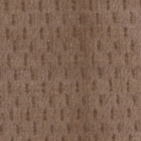 Toast Crypton Fabric - Golden