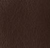 Chestnut